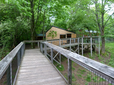 White-tailed deer exhibit